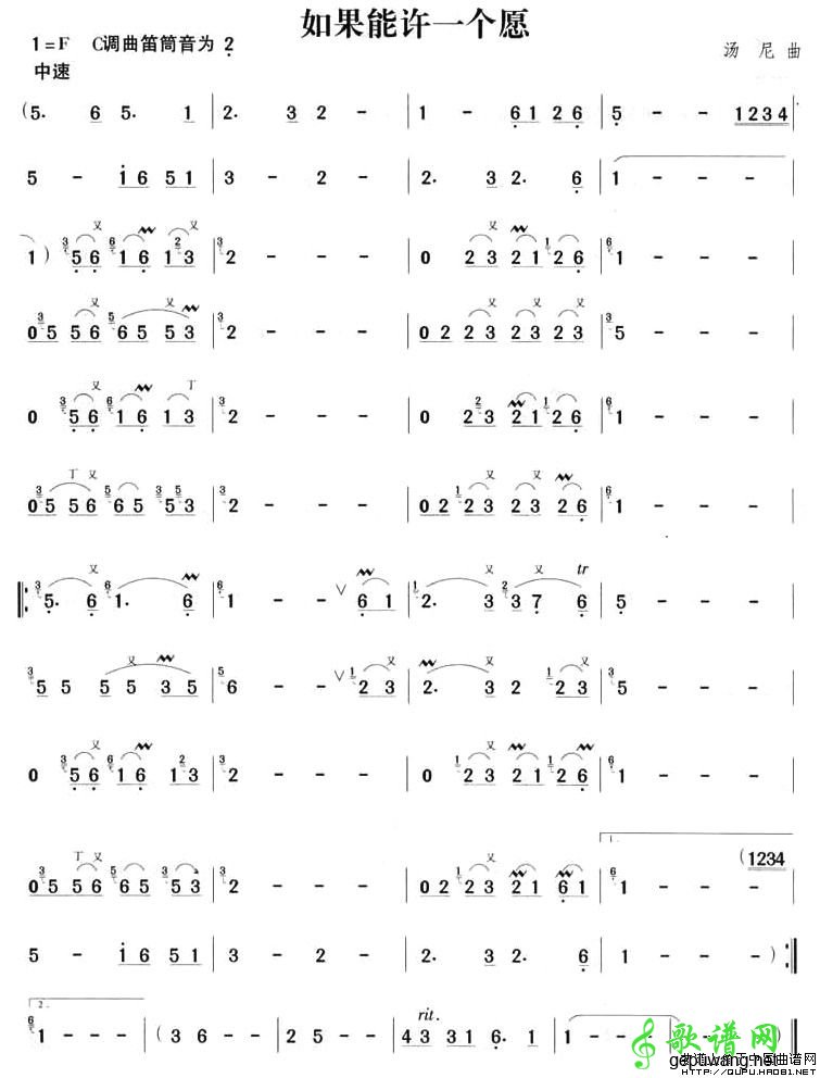 【如果能许一个愿笛子谱】