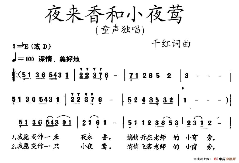 夜来香和小夜莺