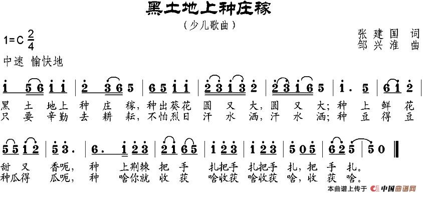 黑土地上种庄稼