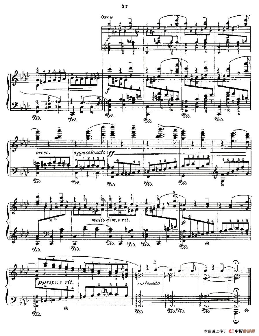 肖邦《练习曲》Fr.Chopin Op.25 No2-2