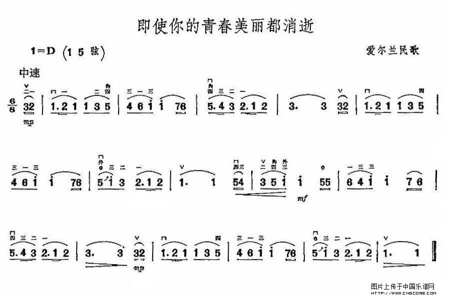 曲谱名：即使你的青春美丽都消失二胡谱