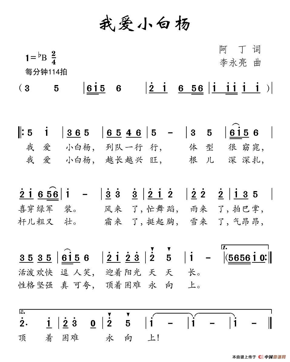 我爱小白杨