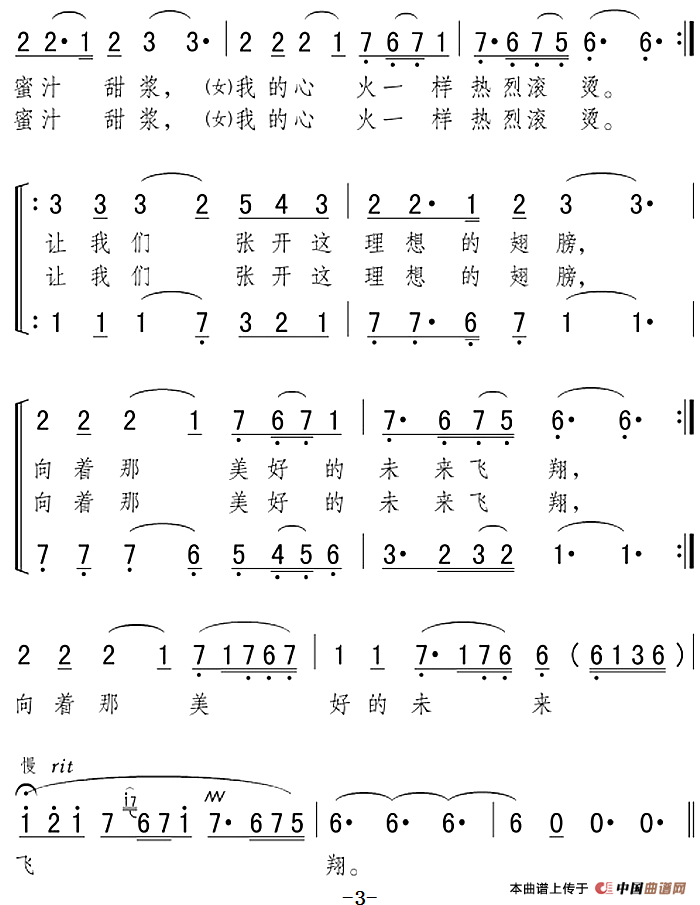 新月下的向往