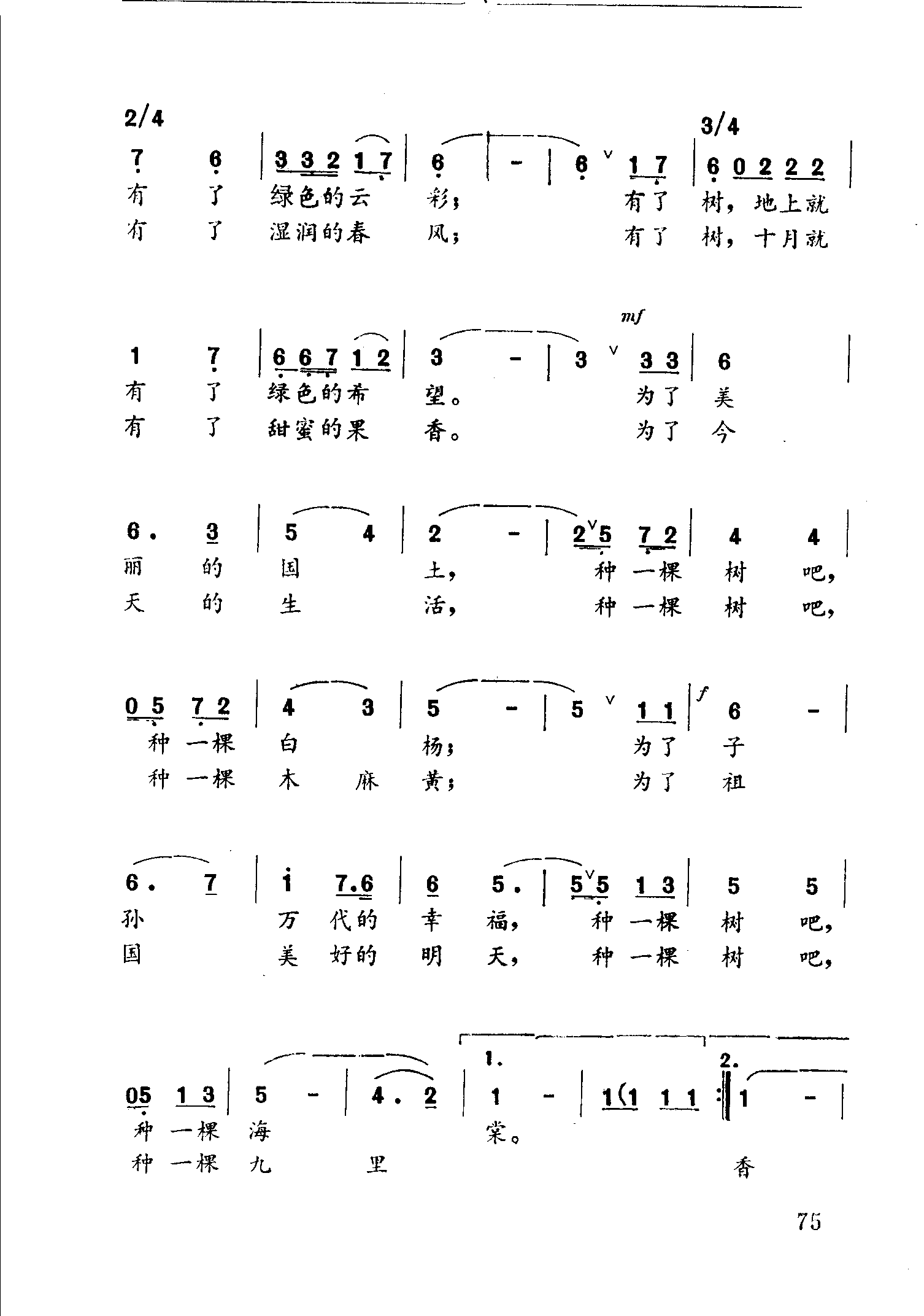 种一棵树吧，朋友