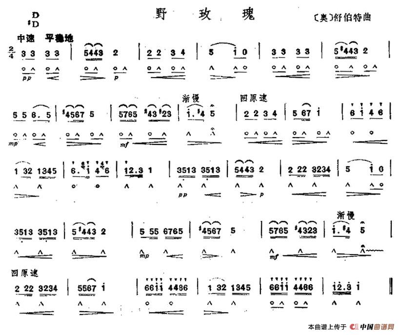 野玫瑰