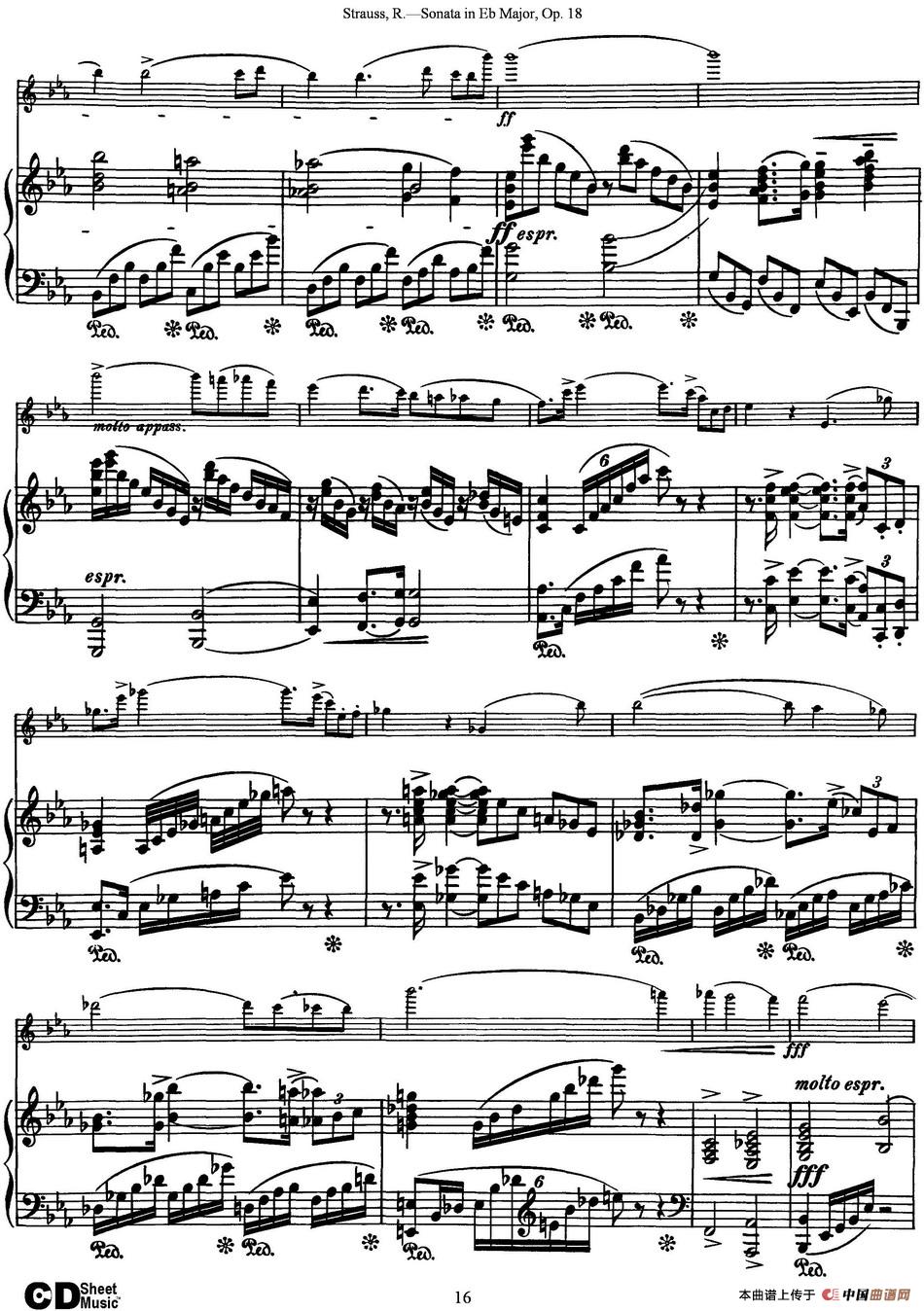 Violin Sonata in Eb Major Op.18（小提琴+钢琴伴奏）