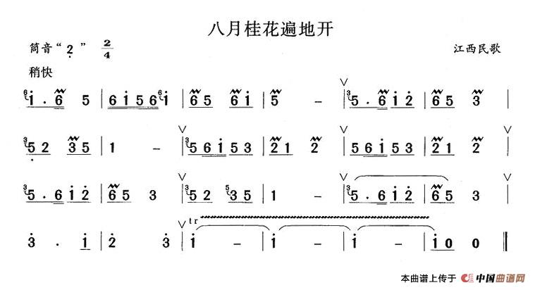 八月桂花遍地开