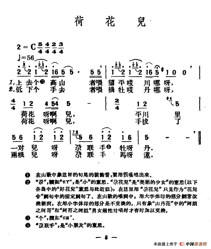 荷花儿