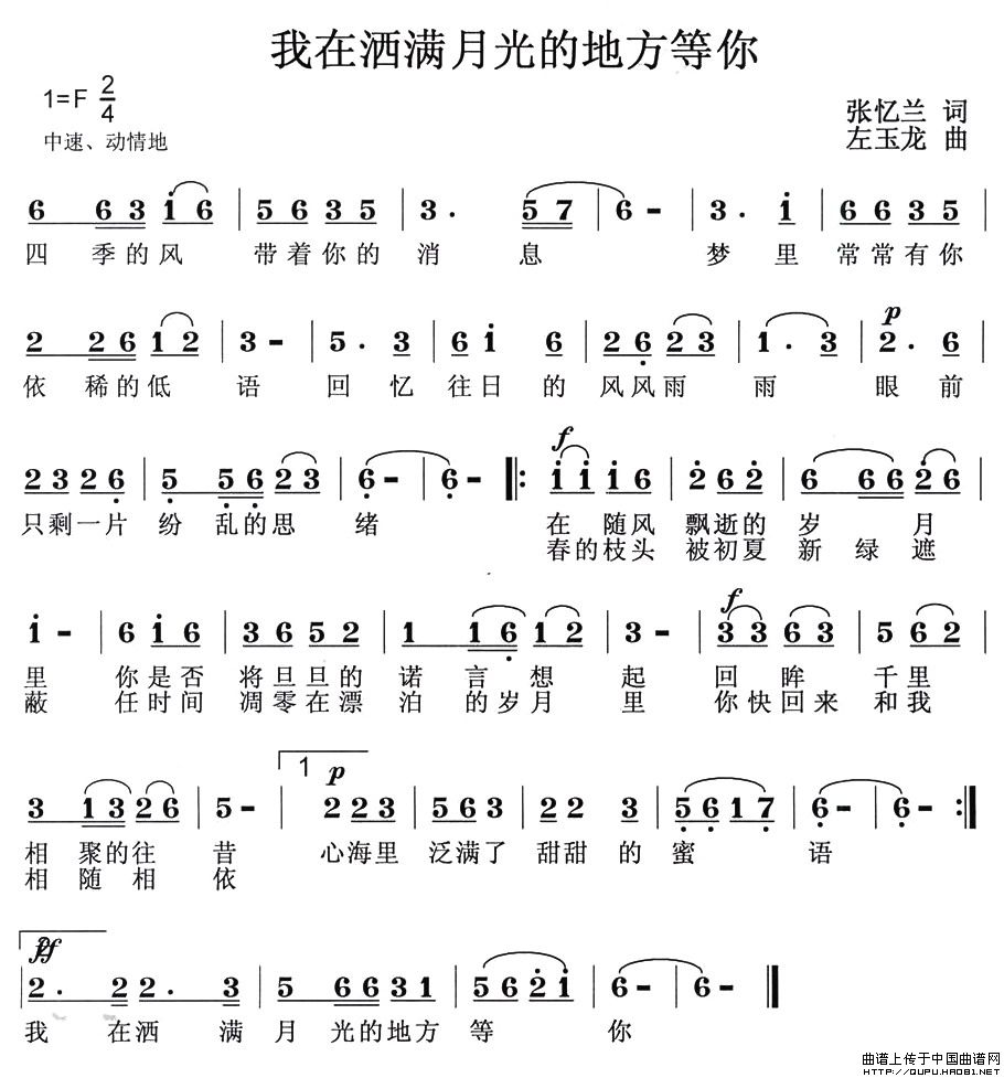 我在洒满月光的地方等你