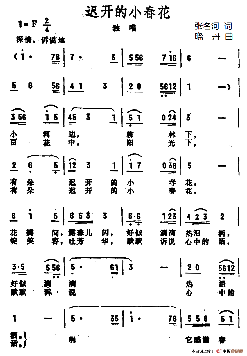 迟开的小春花