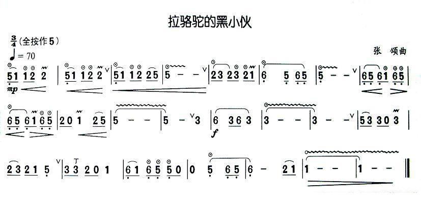 葫芦丝乐谱曲谱 拉骆驼的黑小伙（张颂曲）