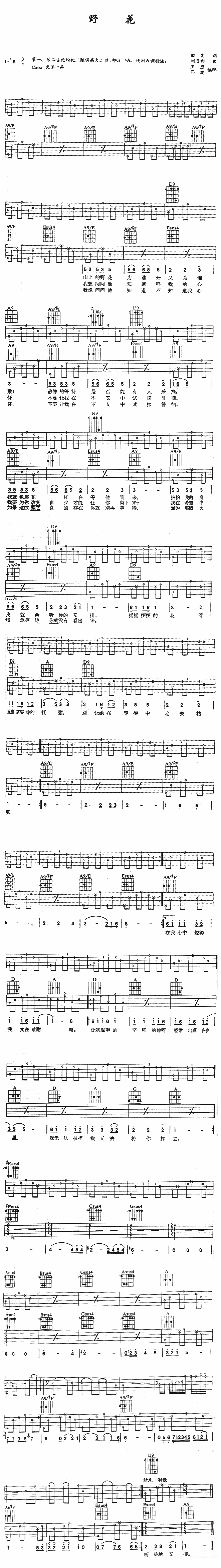 吉他谱乐谱 野花（刘君利曲 田震唱）