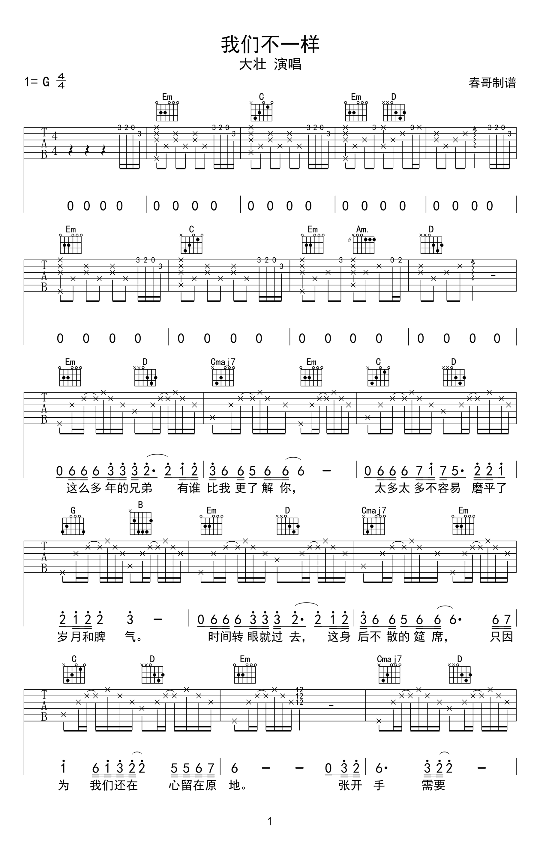 吉他谱乐谱 我们不一样（大壮演唱 张亮编曲）