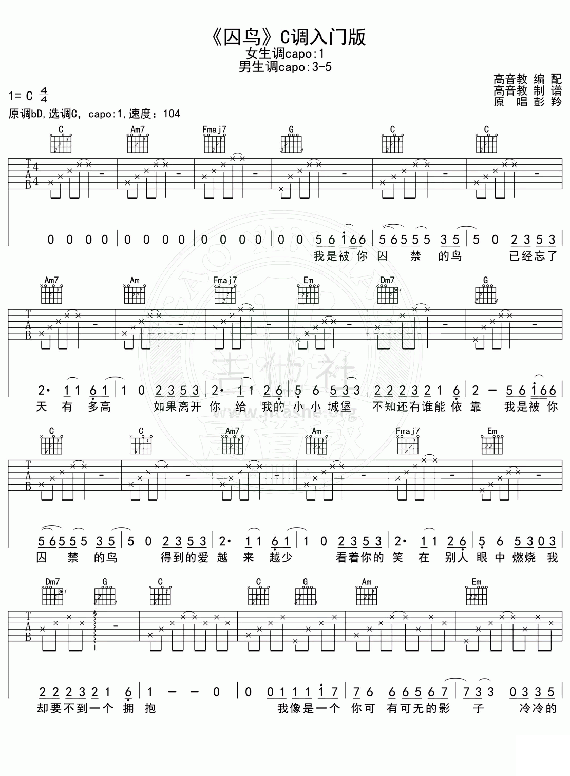 吉他谱乐谱 囚鸟（C调指法编配 彭羚演唱）